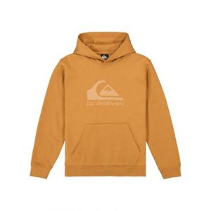 Quiksilver Garçon Comp Logo Hoodie Kids Pull-Over, Almond, 16 Ans EU
