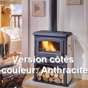 Godin 363101 - Po&ecirc;le &agrave; bois Eco 10 kw (Version &eacute;maill&eacute;e avec niche)