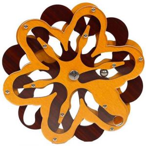 Recent Toys Casse-t&ecirc;te CONSTANTIN PUZZLES Star Path