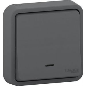 Image de Schneider Electric Va-et-vient lumineux encastré Mureva Styl Gris