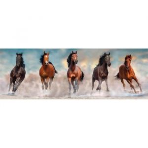 Clementoni Puzzle panoramique 1000 pièces + poster : Chevaux