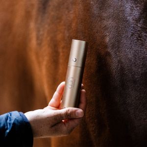 Luminaire LED Horseware Wand