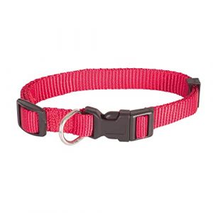 Chadog Collier Nylon Essentiel Rouge 10mm x 2