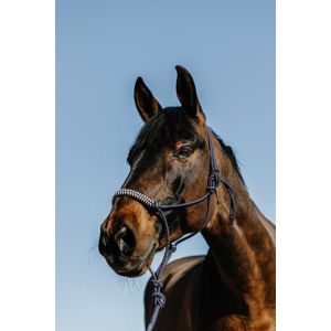 Norton clipper Ensemble licol et longe pour cheval Deco