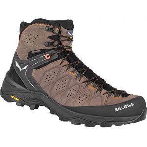 Salewa Alp Trainer 2 Gore-Tex SS21 Bottes de randonnée, Wallnut Fluo Orange, 46 EU