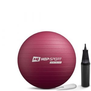 Hop-Sport Ballon de Fitness 45 cm HS-R045YB avec Pompe à air, Anti-éclatement, Ballon de Gymnastique Antidérapant pour Yoga, Pilates et Renforcement Musculaire, Charge max. 100 kg, Violet mûre