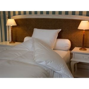 Castex Couette hiver oie 90% duvet (140 x 200 cm)