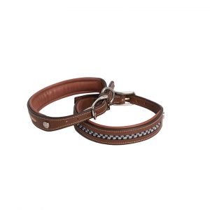 Image de Antares Collier pour chien en cuir