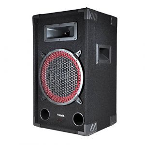 Image de Ibiza Sound STAR10/250 - Enceinte passive sono DJ PA 10/25cm 250W 2 Voies BassReflex