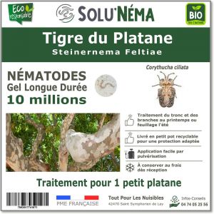 SOLUNEMA - Nématodes SF - Tigre du Platane - 10 millions Nématodes pour 1 petit Platane