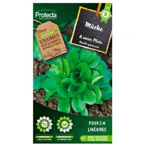 Protecta Graine de m&acirc;che verte &agrave; c&oelig;ur plein et rosette g&eacute;n&eacute;reuse