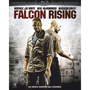 Image de Falcon Rising