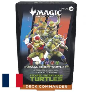 Hasbro Deck Magic Teenage Mutant Ninja Turtles (FR)