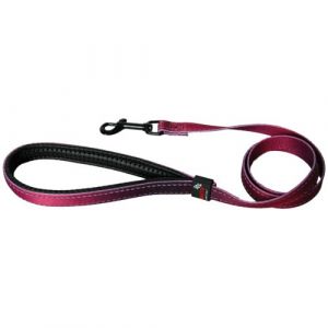 Martin Sellier Laisse chien nylon 16 mm x 100 cm