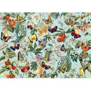 Cobble hill Fruit and Flutterbies