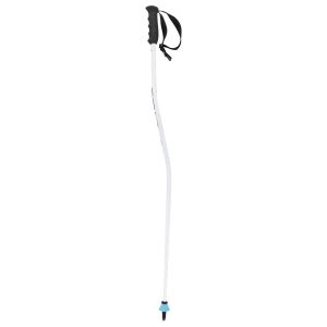 Head Bâton de ski enfant Worldcup Sg