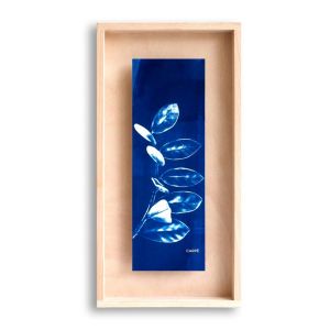 Cadre Carpë cyanotype ZZ plante 40x20cm