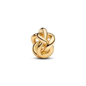 Pandora Charms Femme Moments