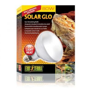 Exo terra Ampoule à vapeur Solar Glo 80 W - Pour reptiles