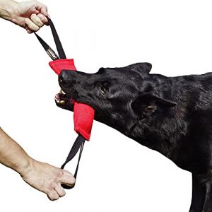 Dingo Gear K9 IGP & Fun Jouet à mâcher en nylcot pour Dressage de Chien 2 poignées Rouge 28 x 7 cm