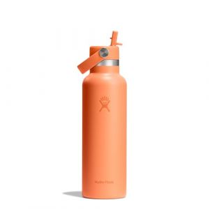 Hydro flask Bouteille Standard Flex Straw 0,62L orange