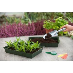 Image de Nature Lot de 5 terrines pour semis 35x23,5x5,5 cm - Rectangulaire souple - Semis en grand nombre - Groupe de plantes identiques - Dimensions : H5,5x35x23,5 cm