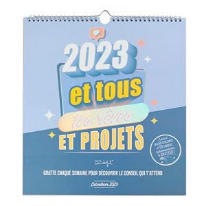 Mr. Wonderful Calendrier mural à gratter - 2023 et tous tes reves et projets