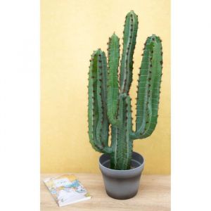 Ligne Deco Grand cactus Euphorbe artificiel &agrave; 4 branches pot gris - 70cm - Plante verte artificielle -