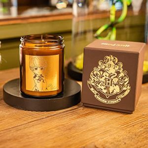 Ron Weasley, Bougie parfum&eacute;e Harry Potter en cire naturelle de colza, parfum gourmand de citrouille &eacute;pic&eacute;e et cannelle, 40h de br&ucirc;lage, fabriqu&eacute; en France, id&eacute;e cadeau