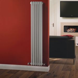 Image de Hudson Reed Radiateur Design fonte acier chauffage central 1085 Watts