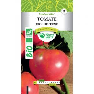 Les doigts verts Graines tomate rose de Berne bio