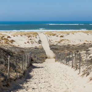 Artis Glassart 30X30 Plage Salie Su