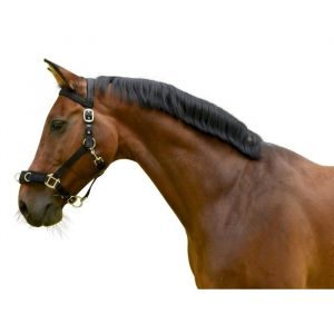 Covalliero Caveçon synthétique - Noir - Pur sang - En matériau résistant à l'usure et aux coutures solides