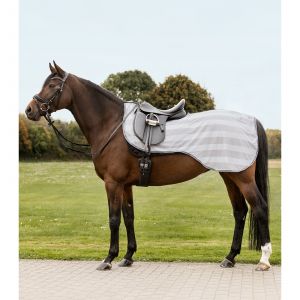 Waldhausen Couvre-reins pour cheval anti-mouches Economic