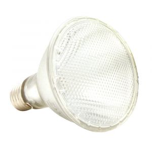 Komodo Lampe pour terrarium Halogen Spot