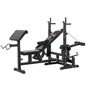 Homcom Banc de Musculation Multifonction réglable - pupitre à Biceps, Repose Barre curl, poignées à Dips, Module Extension Bras Jambes, résistance Horizontale - Acier Noir
