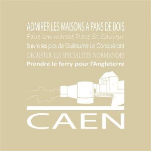 Artis Toile 30x30 caen vison