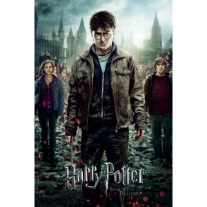 Image de Affiche du film Harry Potter 7 partie 2 (61 x 91,5 cm)