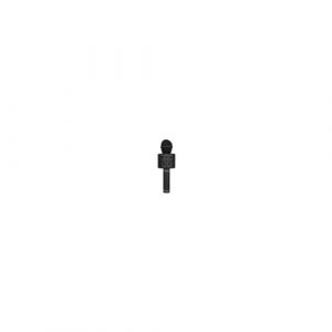 Avizar Micro karaoké Bluetooth avec fonction enregistrement et carte micro-SD - Noir