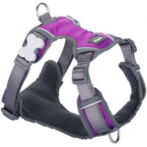 RedDingo Harnais Pour Chien - Dingo - Violet - Taille M - 38-58 Cm