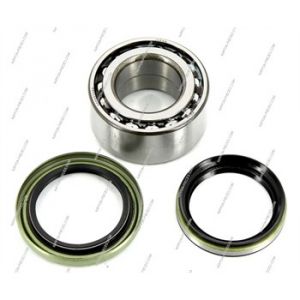 NPS Kit de roulement de roue M470I22