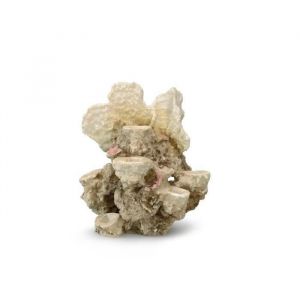 Aqua della Décoration pour aquarium Barriere de corail (21 x 18 x 31 cm) pour 6 coraux - M/L