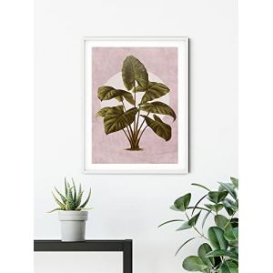 Komar Affiche d'art Créatures Végétales - Taille: 30 x 40 cm - coloré