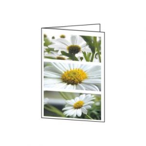 Sigel Romance DC171 Pack de 25 Cartes &agrave; motif 2 Volets A5