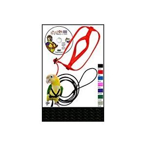 Aviator Harnais pour oiseau Large