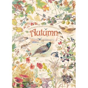 Cobble hill Country Diary - Automne