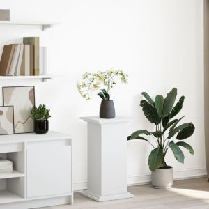 VidaXL Piédestal avec rangement blanc 31x30x60 cm bois d'ingénierie