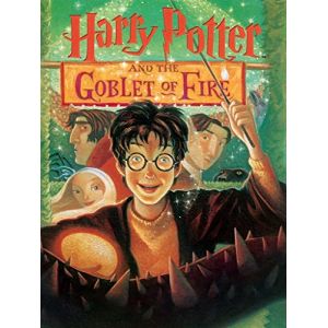 Image de New york Puzzle Harry Potter and the Goblet of Fire Puzzle Company