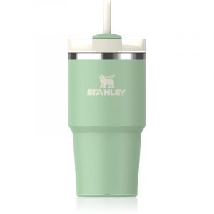 Stanley Thermobecher 0,6L - THE QUENCHER H2.0 FLOWSTATE TUMBLER Trinkflaschen 1 ct Silber (37.99 € / 1 ct)