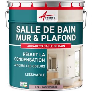 Arcane industries Peinture salle de bain, mur et plafond, condensation - 2.5 L Rose poudr&eacute; - RAL 010 70 15
